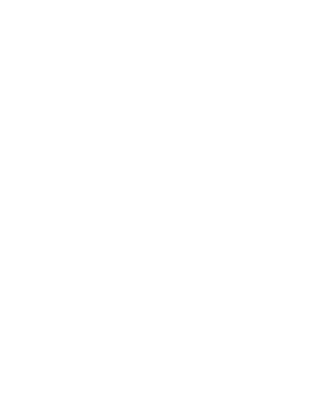 BEST CONSULTING